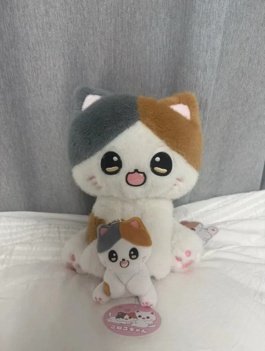 (새상품) 코네코짱 고양이 부드러운촉감 귀여운 애착 봉제인형 28cm,